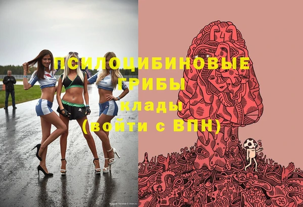 бошки Богородск