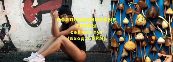 бошки Богородск
