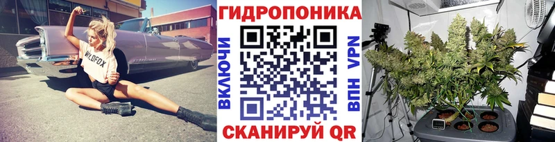 Бошки Шишки White Widow Данков